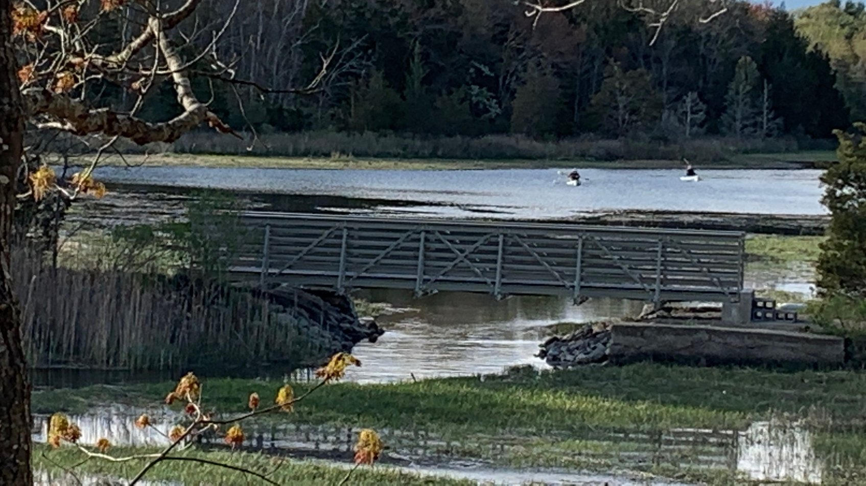 Bridge Spotlight Mill Cove Creek